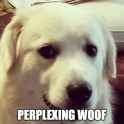 perwoof