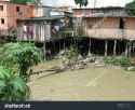 stock-photo-shanty-town-in-manaus-amazonia-brazil-a-favela-is-a-specifically-portuguese-word-for-a-shanty-24136342