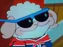 canadiens sheep