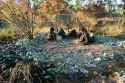 49B7DA3C00000578-5452713-Paul_Blackmore_took_this_picture_of_Aboriginal_drinkers_surround-a-1_1520122123462