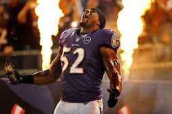 Ray Lewis Ravens