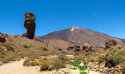 Squeakers on Teide