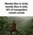 monkey dance