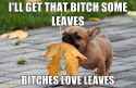 bitches-love-leaves