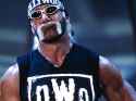 hollywood_hogan