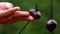Conkers_jpg