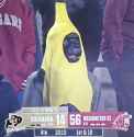 primate4