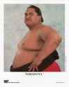 img649-2057585269