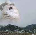 top cat kek