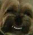 142498812002