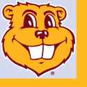 winky goldy
