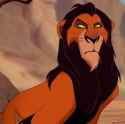scar