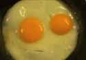 eggsplain