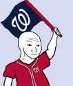 nats feel flag
