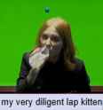 ania_lap_kitten