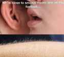 funny-grilling-memes-labor-day-bbq-10