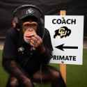 primate2