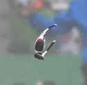slippage