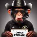 primate