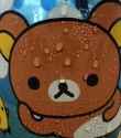 bearsweat