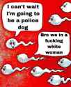 a-white-girl-living-alone-with-a-bunch-of-dogs-red-flag-by-v0-hyutwjuhjykb1