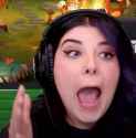 mfw40