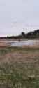 IMG-20250516-WA0001