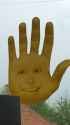 mr palm