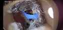 Screenshot_20250531-151227_VicoHome