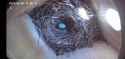 Screenshot_20250509-111535_VicoHome