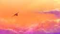 I want to see those orcas
