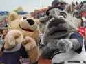 mascotsneedednews