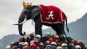 bama5