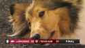 reveille just about had it
