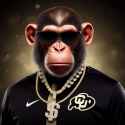 primate5