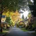 suburban-street-stockcake