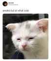 1559840710595