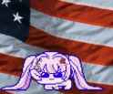 usa yippee