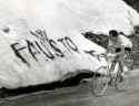 fausto