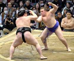 Sumo-scene-0430