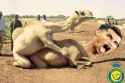 camel_league_penaldo_cr7_by_elsextetefcb_dg0iqkq-fullview