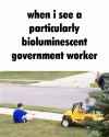 Glowie road rules