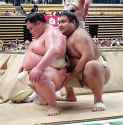 Takayasugrab