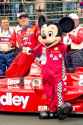 IRL-Mickey