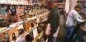 Endtroducing