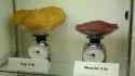 fat weight comparison