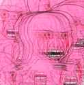 1732848161534835