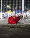 Apolo Krypto