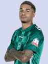 dfl-obj-002gpz-dfl-clu-00000e-dfl-sea-0001k9-body