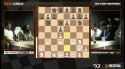 chesstival